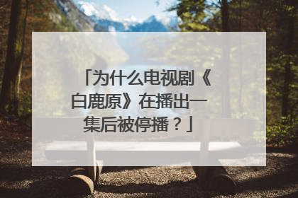 为什么电视剧《白鹿原》在播出一集后被停播?