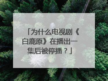 为什么电视剧《白鹿原》在播出一集后被停播？