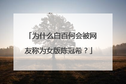 为什么白百何会被网友称为女版陈冠希？