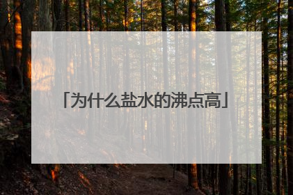 为什么盐水的沸点高