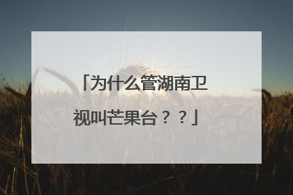 为什么管湖南卫视叫芒果台？？
