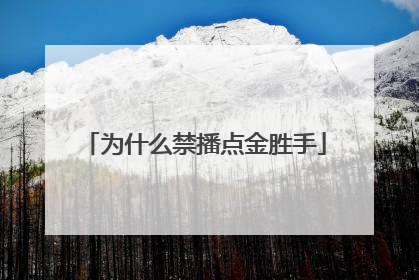 为什么禁播点金胜手