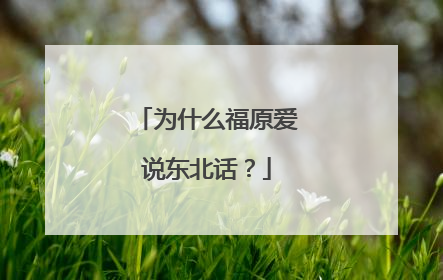 为什么福原爱说东北话?
