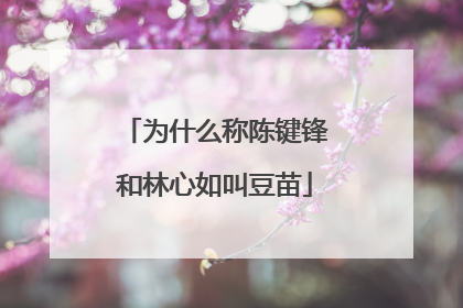 为什么称陈键锋和林心如叫豆苗