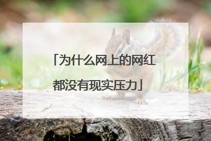 为什么网上的网红都没有现实压力