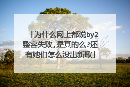 为什么网上都说by2整容失败,是真的么?还有她们怎么没出新歌