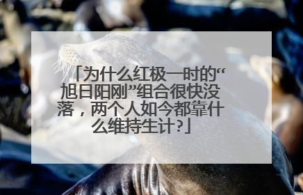 为什么红极一时的“旭日阳刚”组合很快没落，两个人如今都靠什么维持生计?