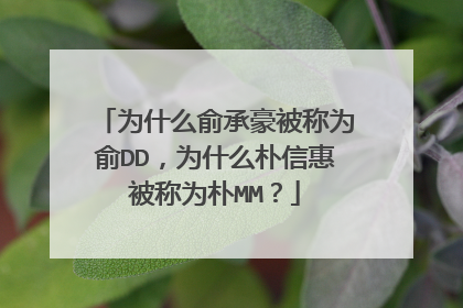 为什么俞承豪被称为俞DD,为什么朴信惠被称为朴MM?