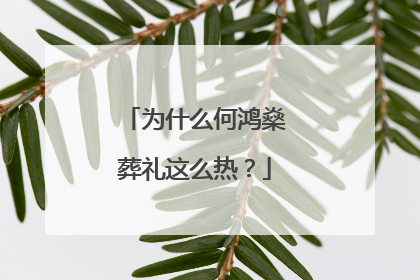 为什么何鸿燊葬礼这么热？
