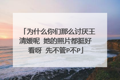 为什么你们那么讨厌王清媛呢 她的照片都挺好看呀 先不管P不P