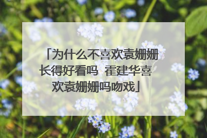 为什么不喜欢袁姗姗长得好看吗 霍建华喜欢袁姗姗吗吻戏