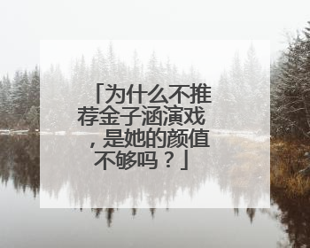 为什么不推荐金子涵演戏，是她的颜值不够吗？