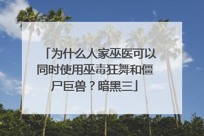 为什么人家巫医可以同时使用巫毒狂舞和僵尸巨兽？暗黑三