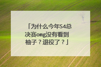 为什么今年S4总决赛omg没有看到柚子？退役了？