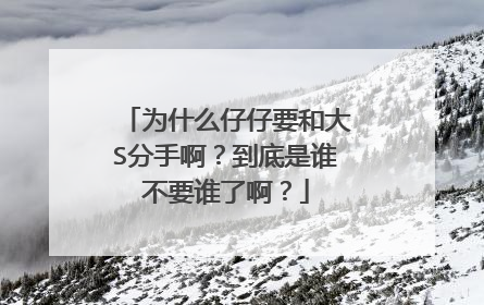 为什么仔仔要和大S分手啊？到底是谁不要谁了啊？