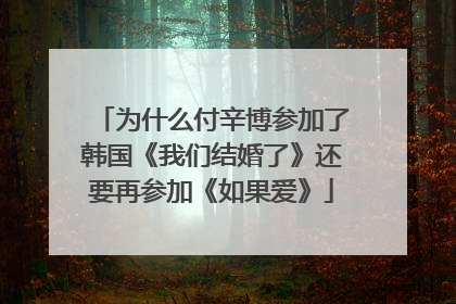 为什么付辛博参加了韩国《我们结婚了》还要再参加《如果爱》