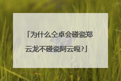 为什么仝卓会碰瓷郑云龙不碰瓷阿云嘎?