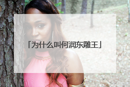 为什么叫何润东雕王