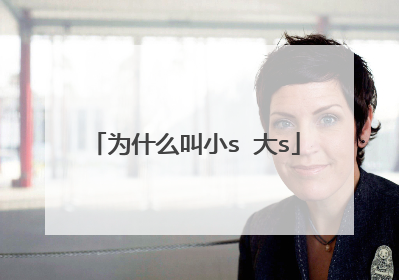 为什么叫小s 大s