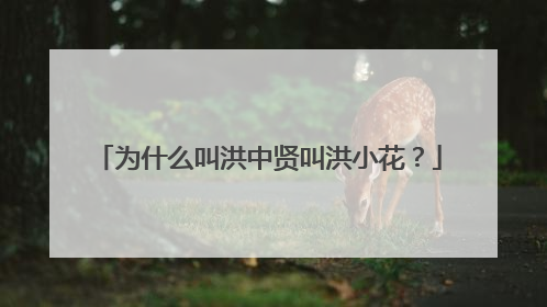为什么叫洪中贤叫洪小花？