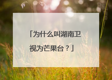 为什么叫湖南卫视为芒果台？