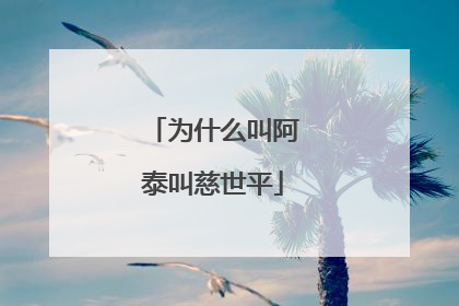 为什么叫阿泰叫慈世平