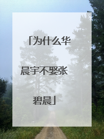 为什么华晨宇不娶张碧晨