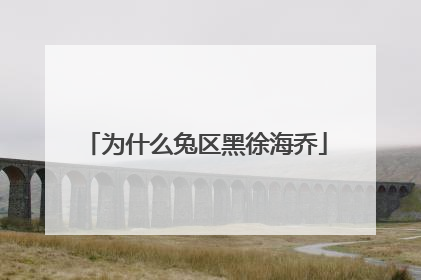 为什么兔区黑徐海乔