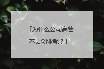 为什么公司高管不去创业呢?