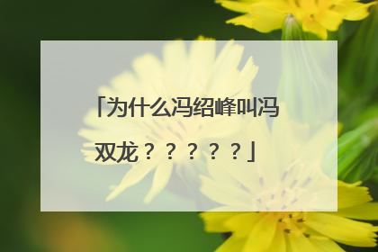 为什么冯绍峰叫冯双龙?????