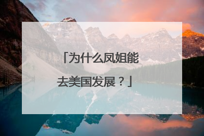 为什么凤姐能去美国发展？