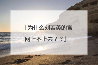 为什么刘若英的官网上不上去？？