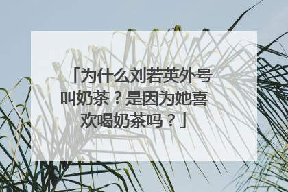 为什么刘若英外号叫奶茶?是因为她喜欢喝奶茶吗?