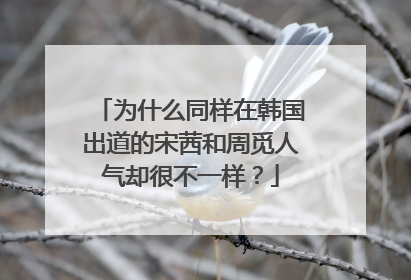 为什么同样在韩国出道的宋茜和周觅人气却很不一样？