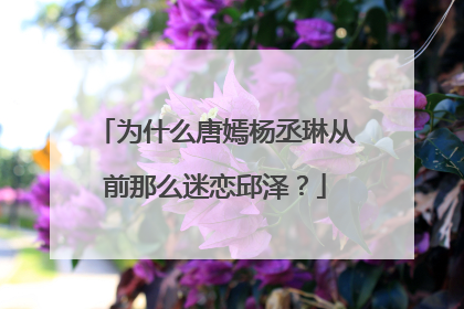 为什么唐嫣杨丞琳从前那么迷恋邱泽？