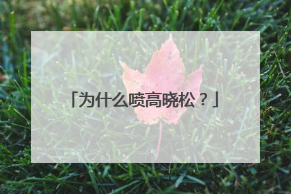 为什么喷高晓松？
