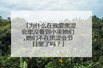 为什么在我爱黑涩会里没看到小薰她们,她们不在黑涩会节目里了吗？