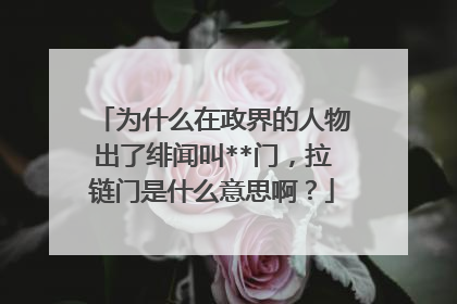 为什么在政界的人物出了绯闻叫**门，拉链门是什么意思啊？