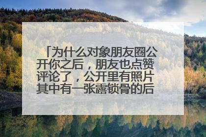 为什么对象朋友圈公开你之后,朋友也点赞评论了,公开里有照片其中有一张露锁骨的后来他设置成了私密?