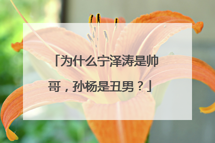 为什么宁泽涛是帅哥，孙杨是丑男？