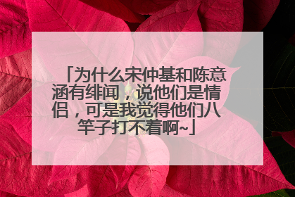 为什么宋仲基和陈意涵有绯闻,说他们是情侣,可是我觉得他们八竿子打不着啊~