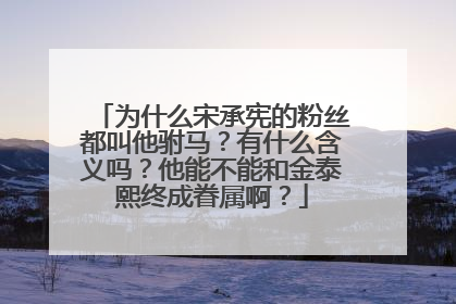 为什么宋承宪的粉丝都叫他驸马?有什么含义吗?他能不能和金泰熙终成眷属啊?