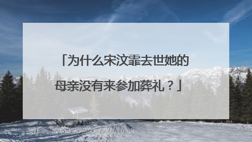 为什么宋汶霏去世她的母亲没有来参加葬礼?