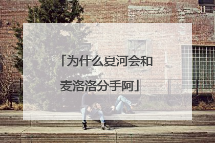 为什么夏河会和麦洛洛分手阿