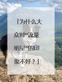 为什么大众对“流量明星”的印象不好?