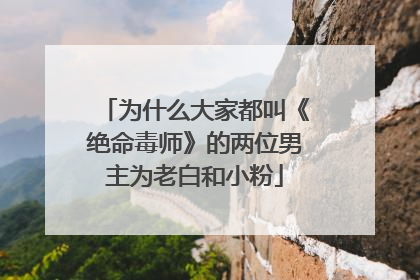 为什么大家都叫《绝命毒师》的两位男主为老白和小粉