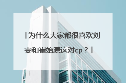 为什么大家都很喜欢刘雯和崔始源这对cp?