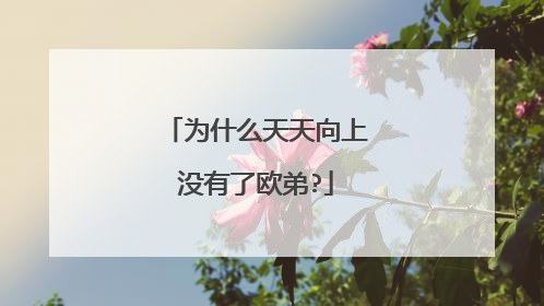 为什么天天向上没有了欧弟?