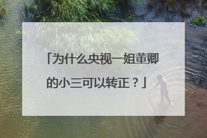 为什么央视一姐董卿的小三可以转正？