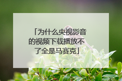 为什么央视影音的视频下载播放不了全是马赛克